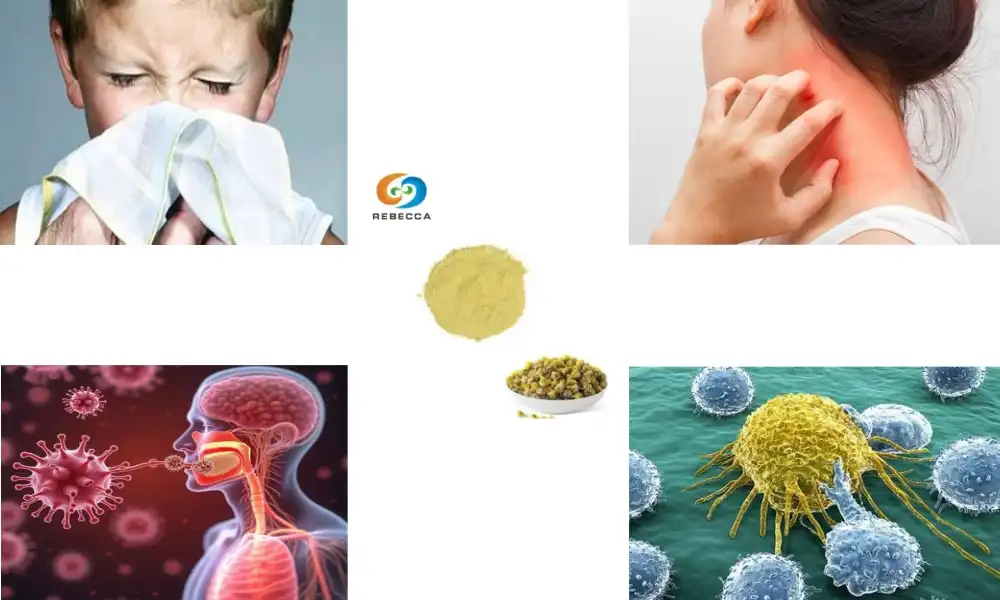 Can chamomile help with allergies? Can chamomile help with allergies?